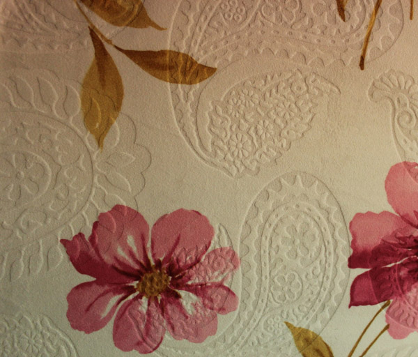 13900bf7-893d-4025-92f3-f1bea880a67b.jpg