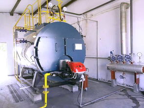 8噸燃?xì)忮仩t運行費用計算及報價分析